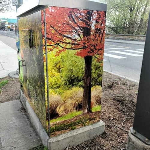 Exterior Graphics